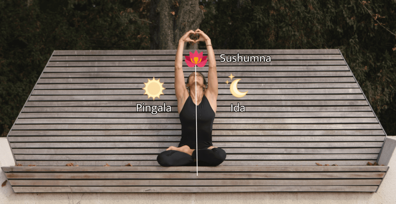 Nadi – Niewidzialne ścieżki w naszym ciele